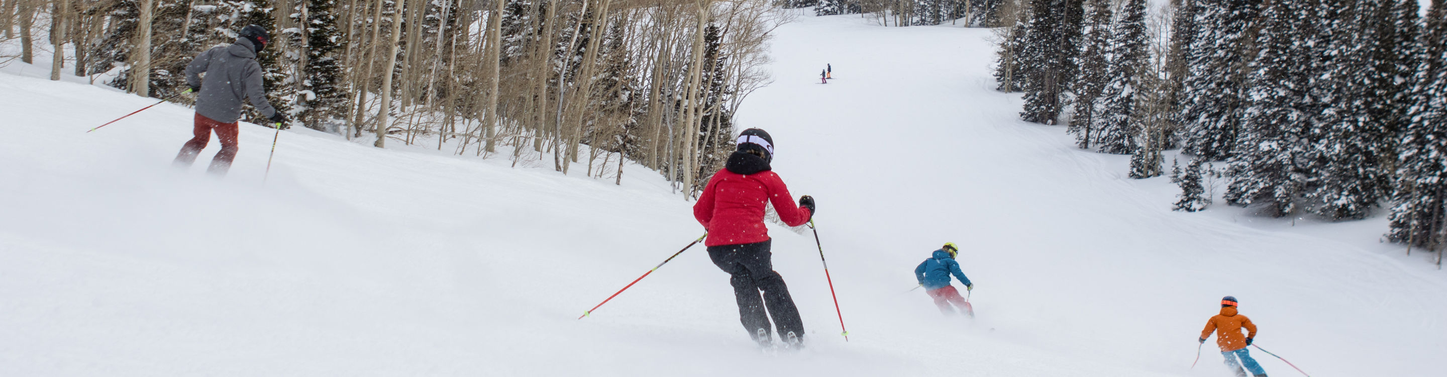 Advanced Skiing at Park City