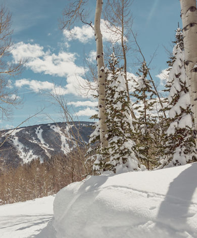 Intertwine to Beaver Creek Village