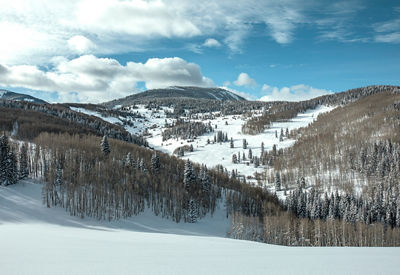 Snow-covered slopes of McCoy Park in Beaver Creek, CO
