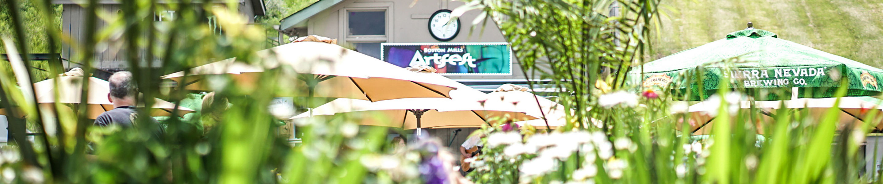 Boston Mills Art Festival 2024 Tyne Alethea