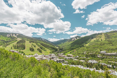 Scenic View of Beaver Creek