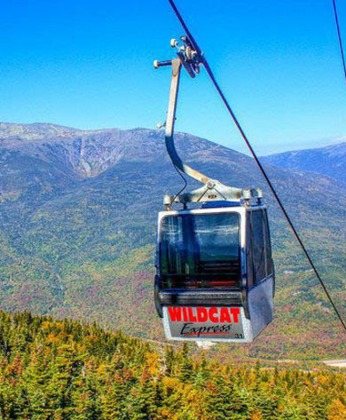 View of Gondola Looking Down Valley at Wildcat Mountain