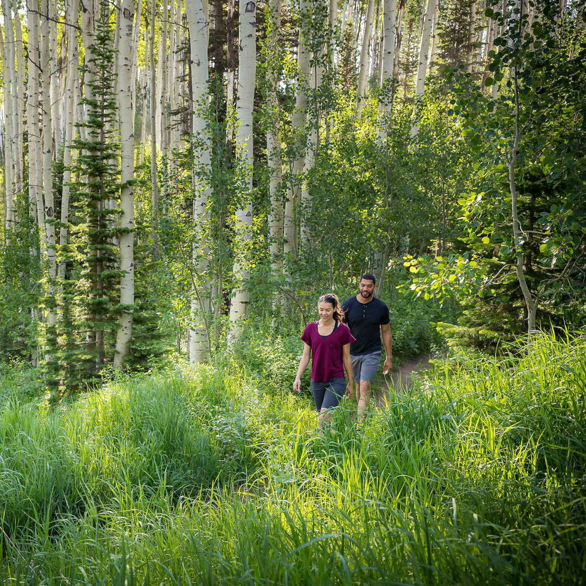 A couple hikes among the trees at Park City