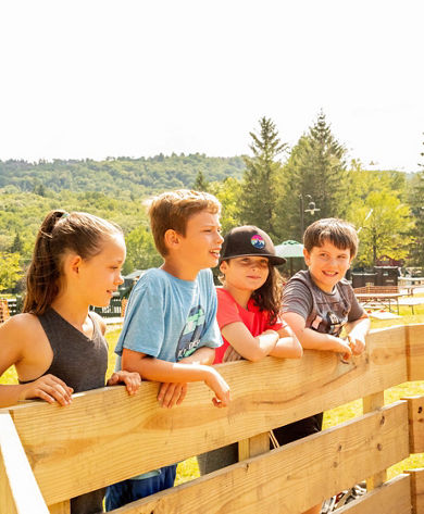 Kids Play in Gaga Pit at Camp at Mount Snow