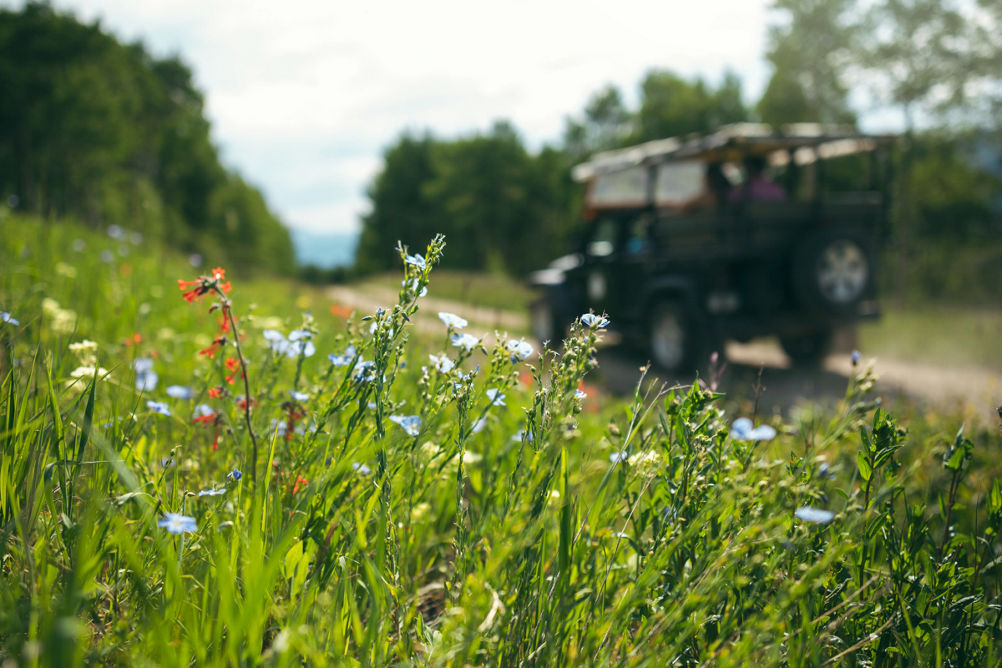 jeep excursions colorado