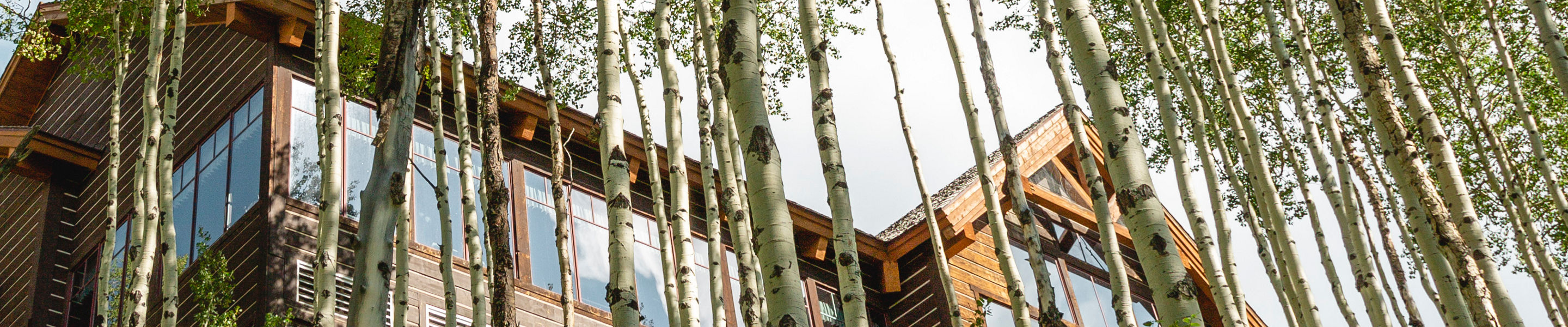 Allie's Cabin Tucked Away in an Aspen Glade at Beaver Creek