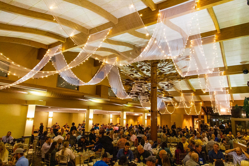 Conference Dinner at Copper Tree at Hunter Mountain