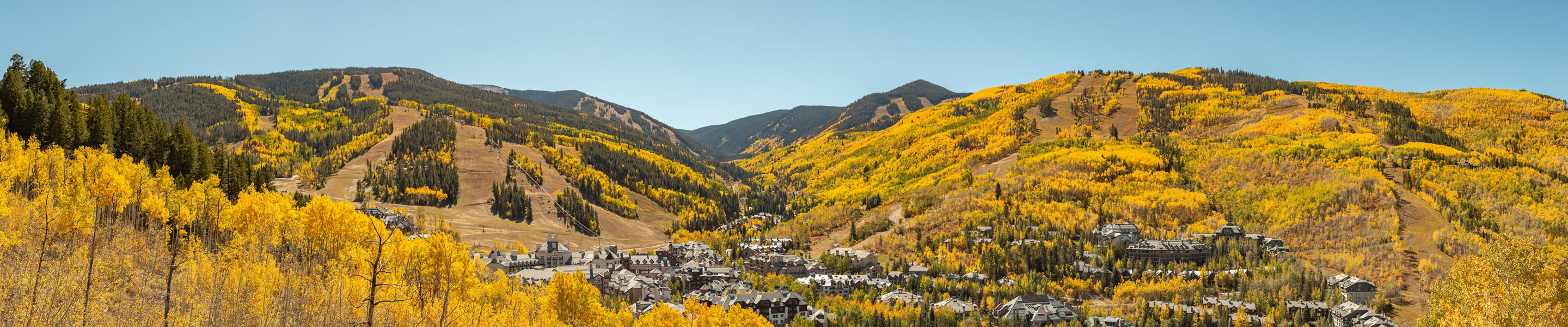 Fall Colors at Beaver Creek