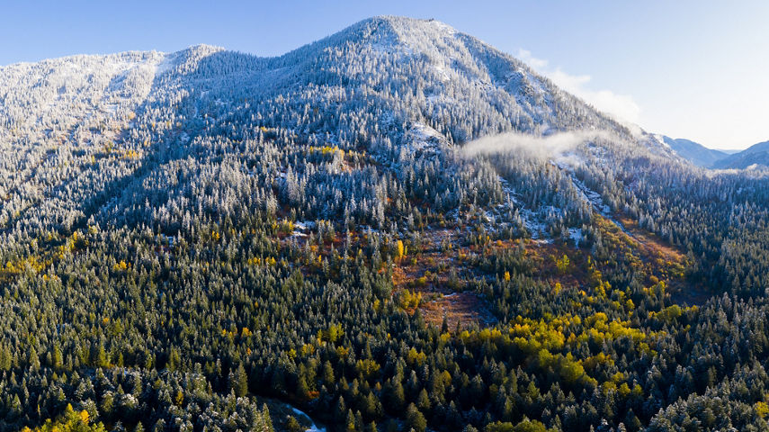 Fall Colors With Snow at Stevens Pass