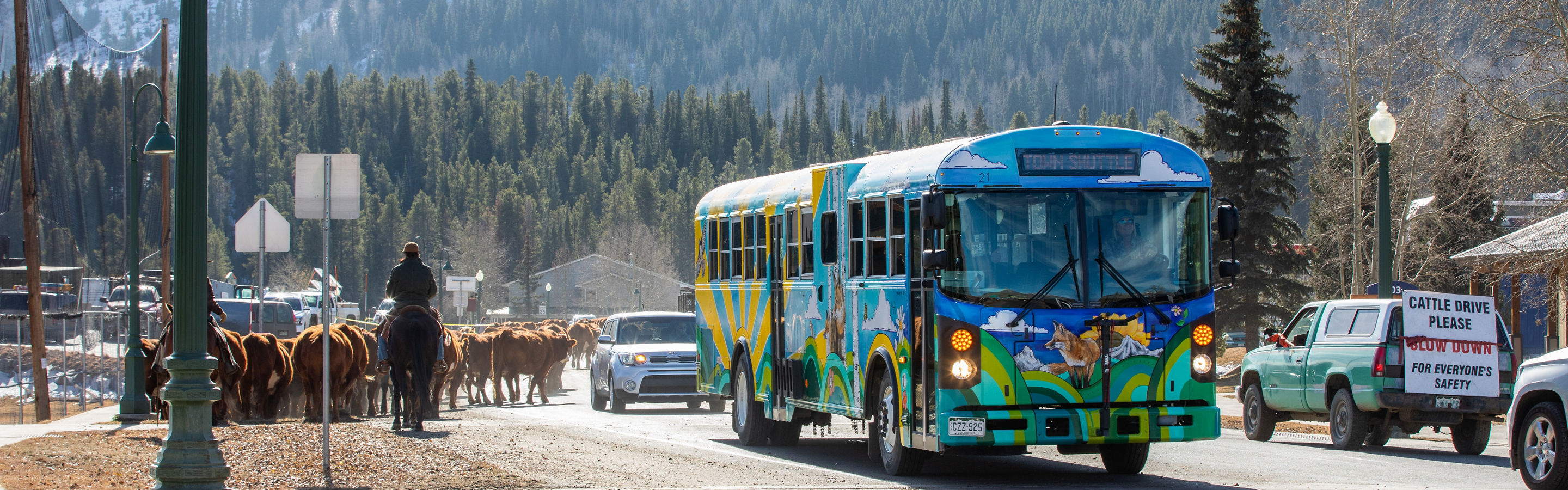 Fall Cattle Drive through Crested Butte