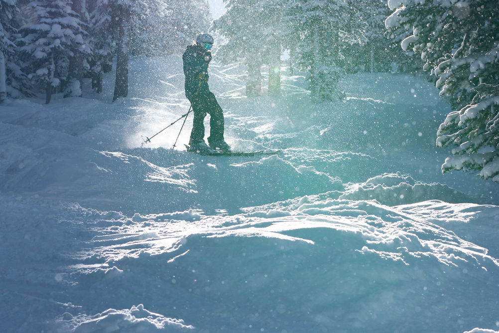 Snowfall in the trees in the Outback at Keystone, Colorado.