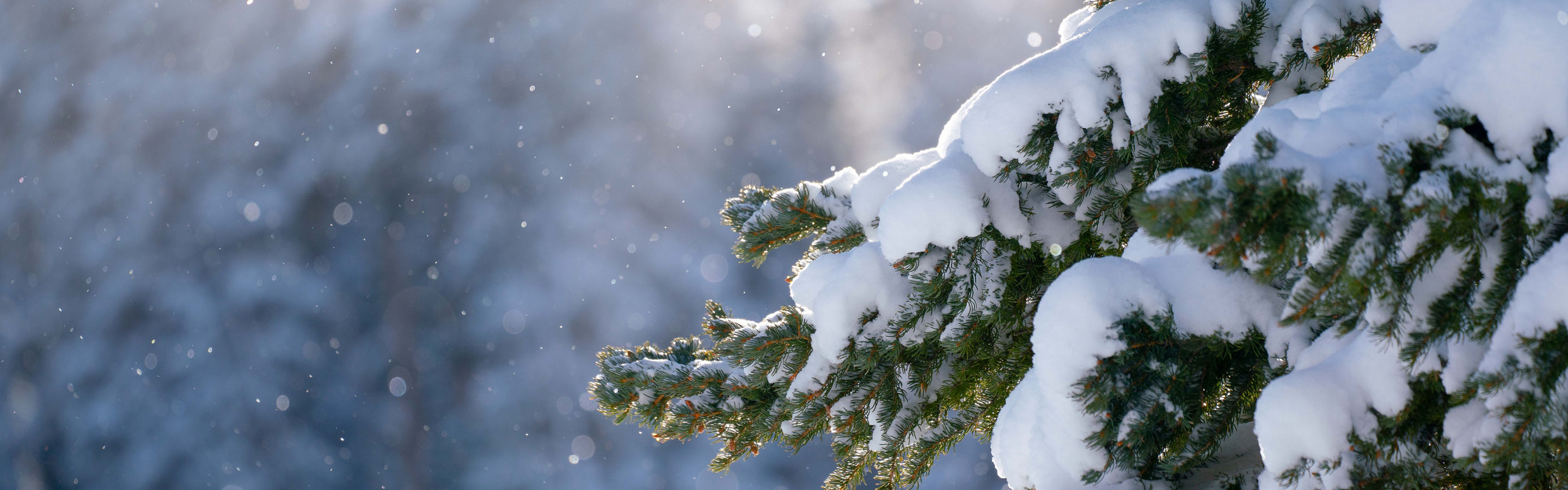Scenic views with blue skies after fresh snowfall in Keystone, CO.