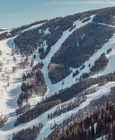 Scenic view of Beaver Creek and Vail Back Bowls from Larkspur Bowl