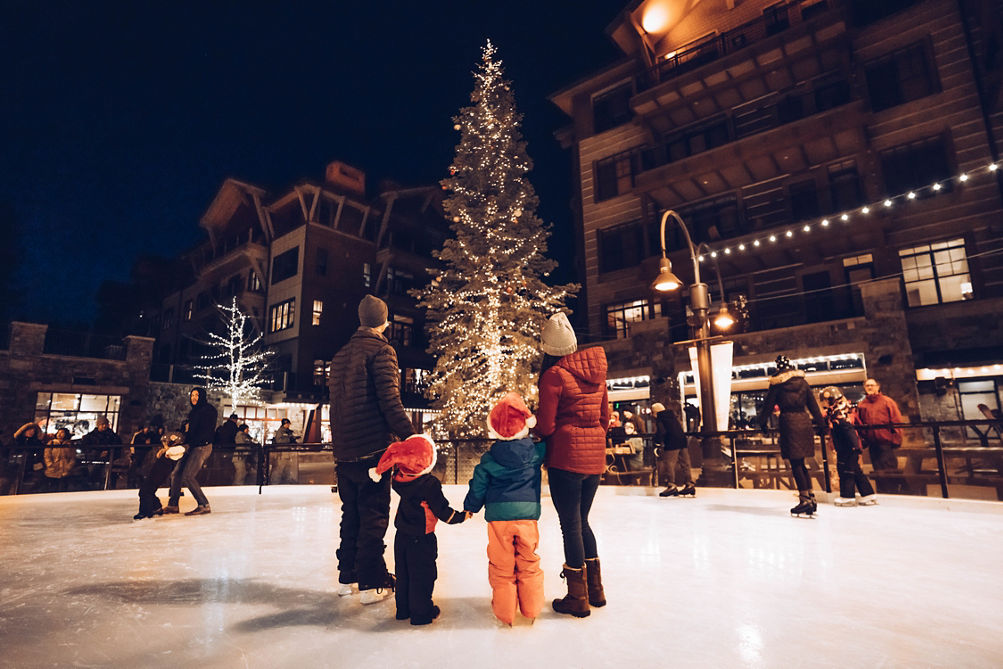 North star christmas light top