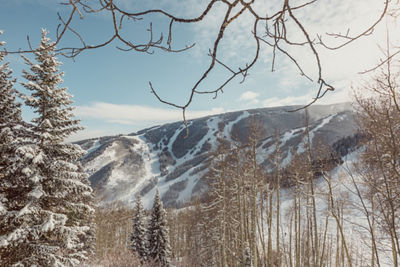 Scenic View from Larkspur Bowl at Beaver Creek