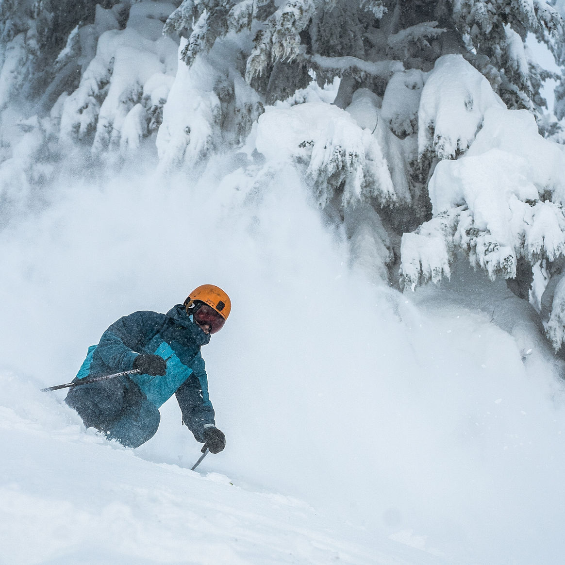 Alex Bosco Grey Trees Powder Skiing at Stevens Pass