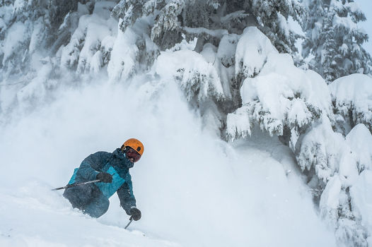 Alex Bosco Grey Trees Powder Skiing at Stevens Pass