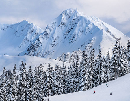 Whistler weather best sale report