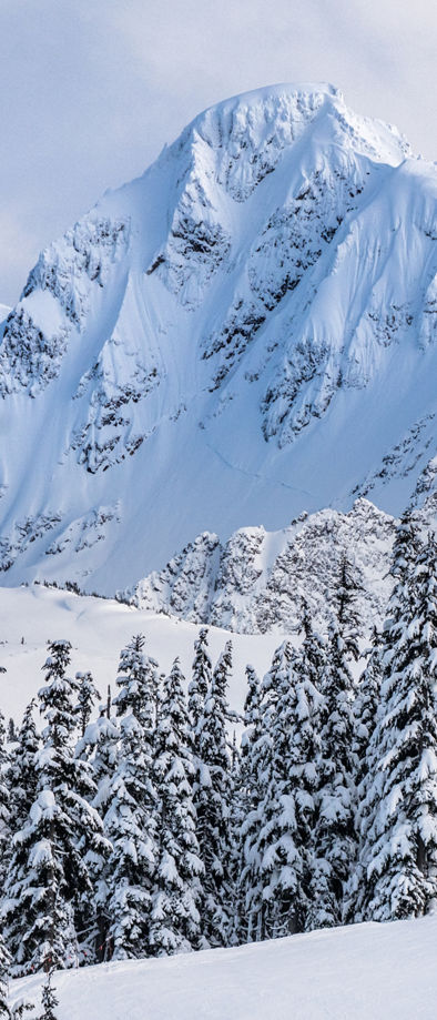 Whistler snow cam online