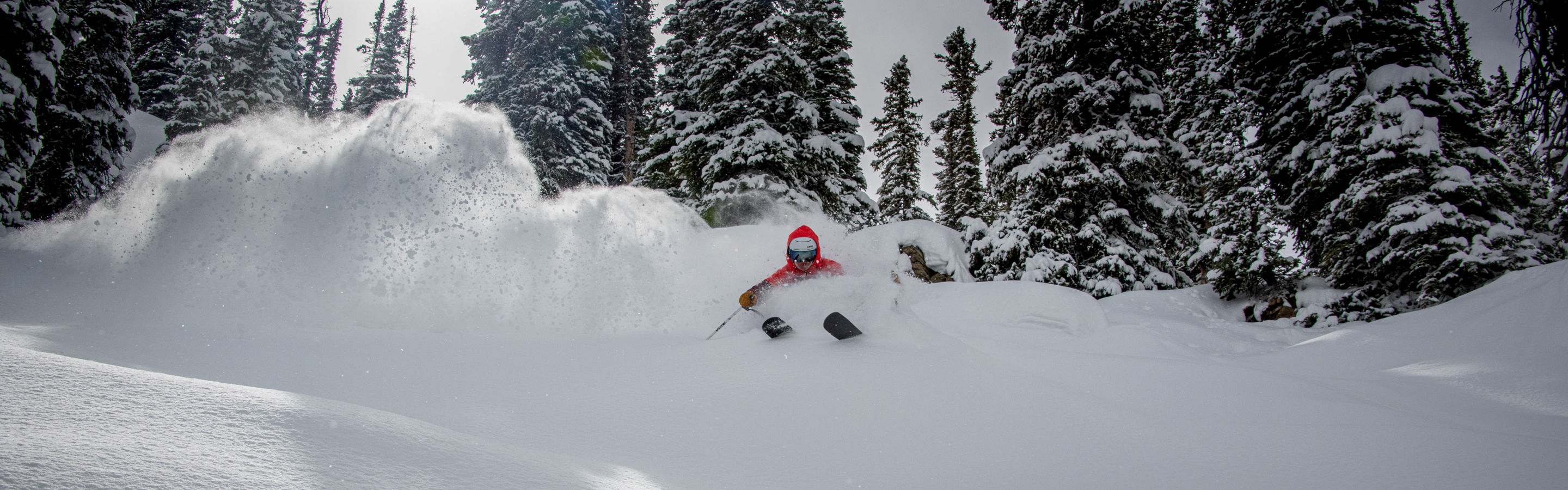 Skier finding deep snow in the woods of Crested Butte