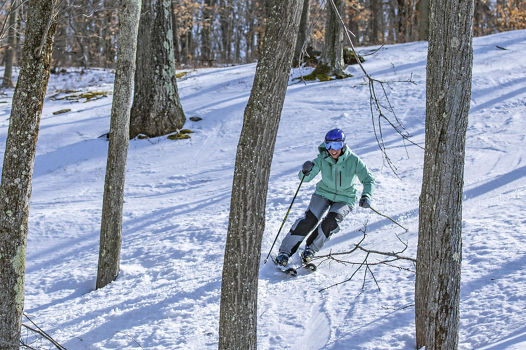 Woman Skis Through Trees at Jack Frost