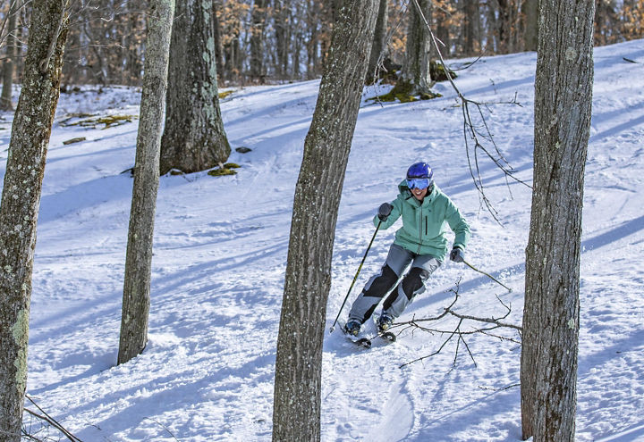 Woman Skis Through Trees at Jack Frost