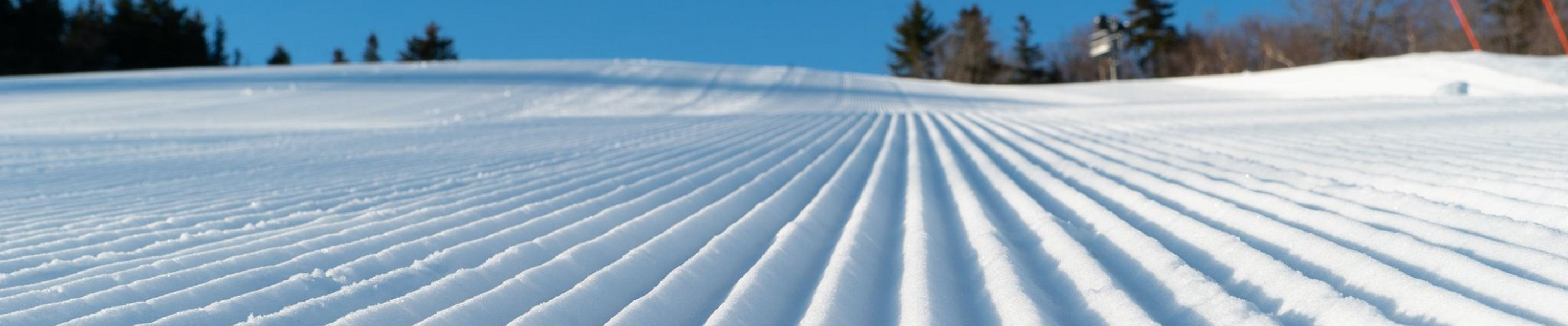Fresh Corduroy on Minuteman at Roundtop 