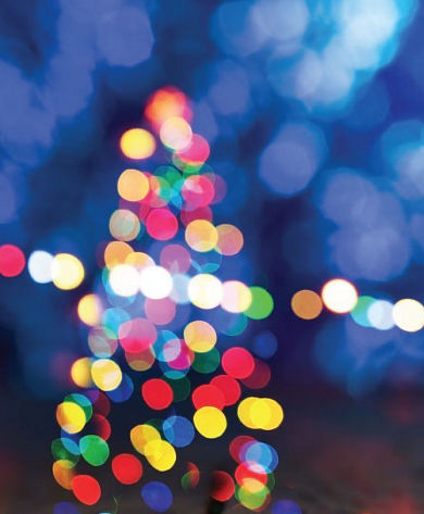 Holiday Lights at Night at Snow Creek