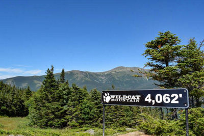 View from Top of Wildcat Mountain 