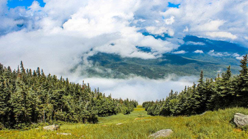 View of the Valley from Wildcat Mountain 