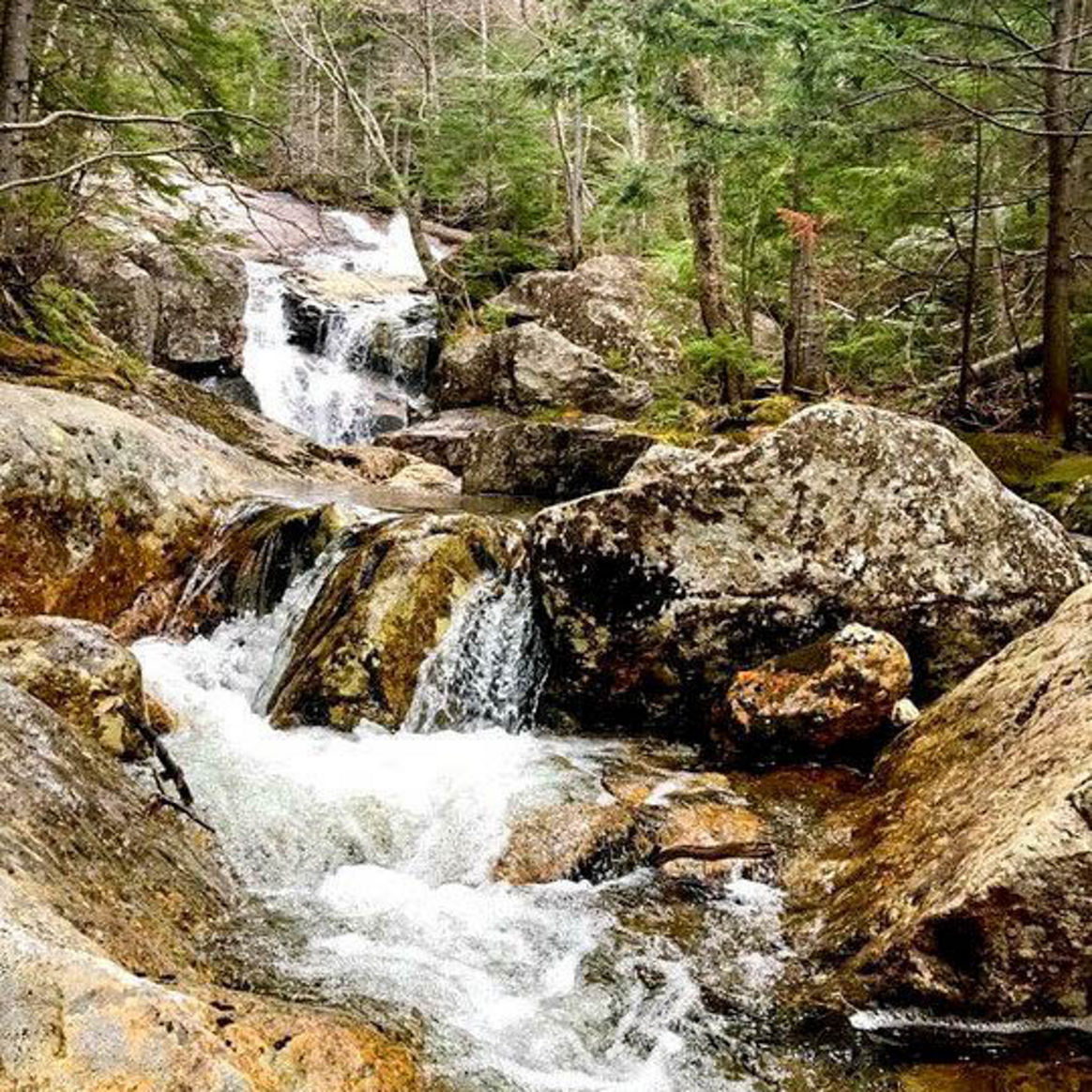 Water Rushing Over Rocks on Hiking Trail at Wildcat Mountain