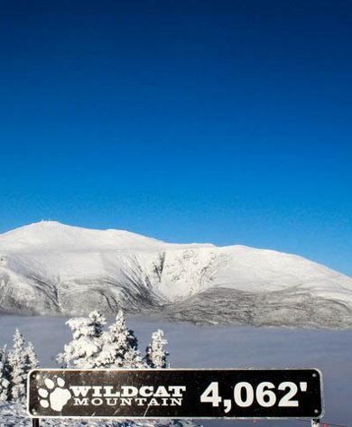 View of the Wildcat Mountain Ski Area 