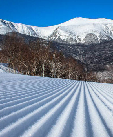 Fresh Corduroy at Wildcat Mountain