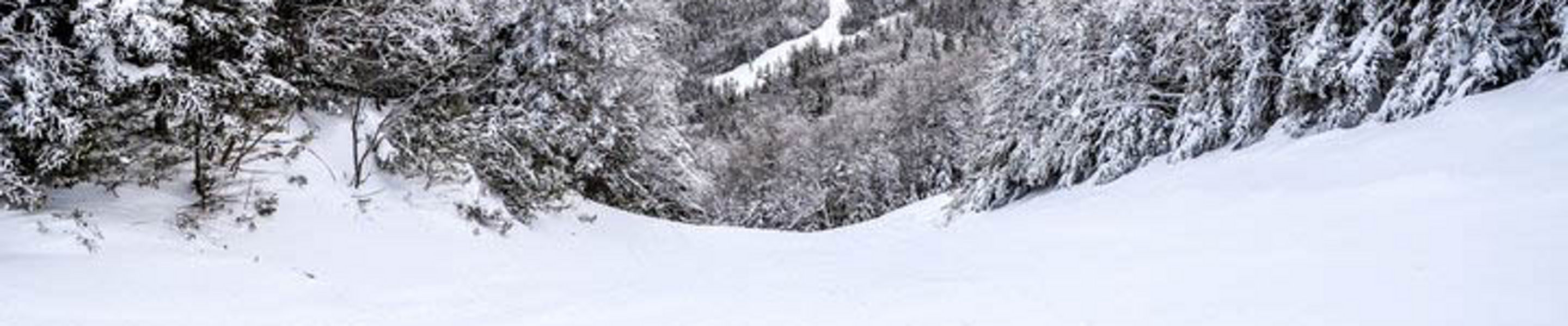 View of Wildcat Mountain Ski Area