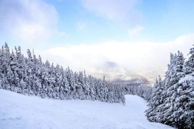 View of Wildcat Mountain Ski Area