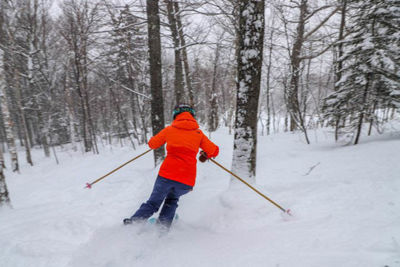 Woman Skis Through Powder in Trees at Wildcat Mountain