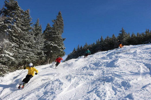 Group of Skiers Makes Turns Down Powdery Run at Wildcat Mountain