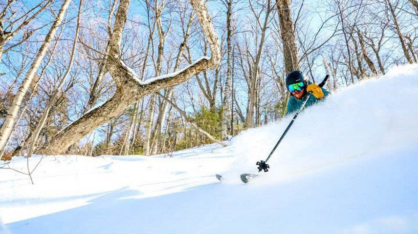 Skier Makes Turns in Fresh Powder at Wildcat Mountain