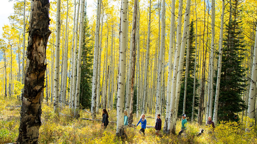 A family hikes in Vail, Colorado