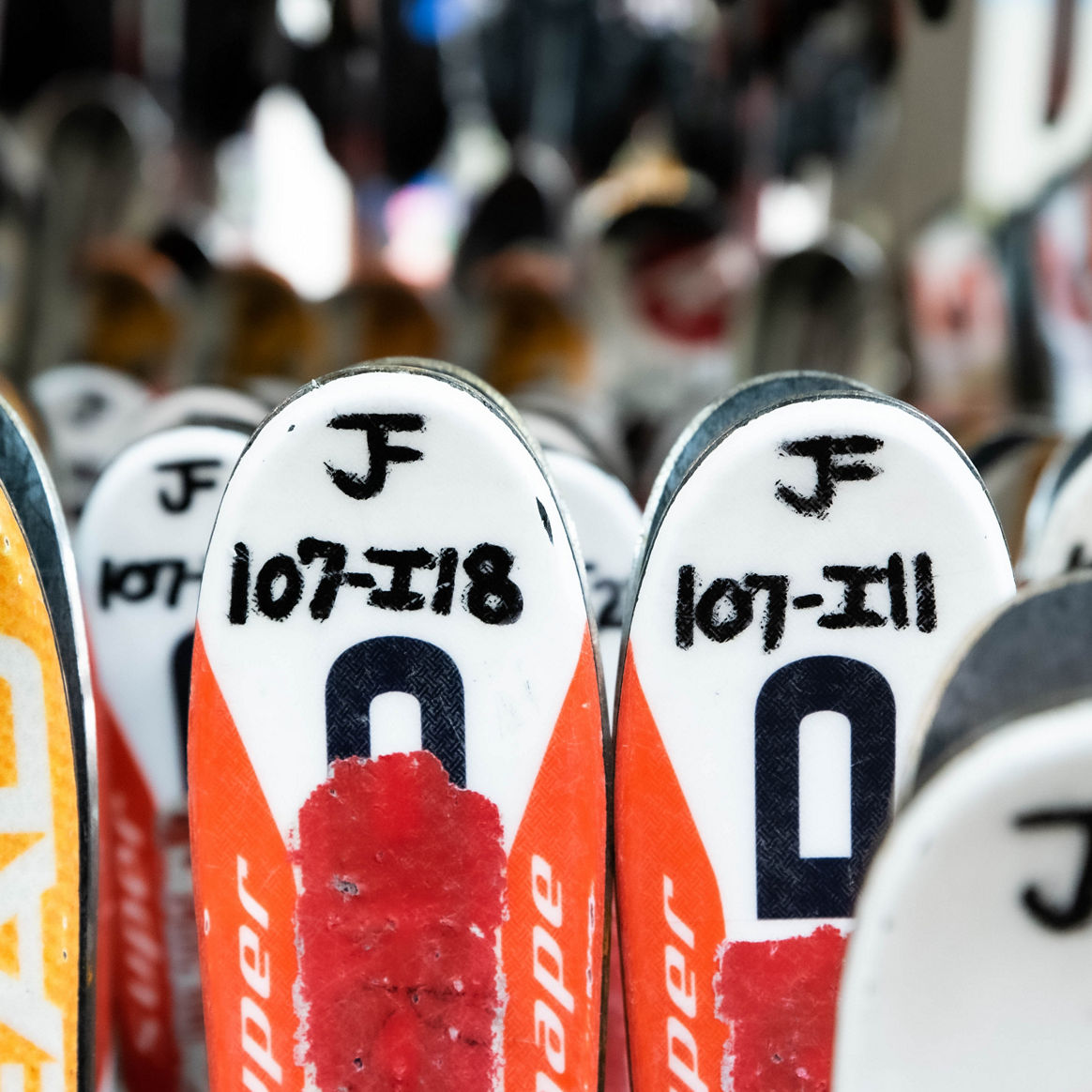 Skis in Jack Frost Rentals