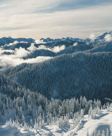 Surrounding Scenics at Stevens Pass
