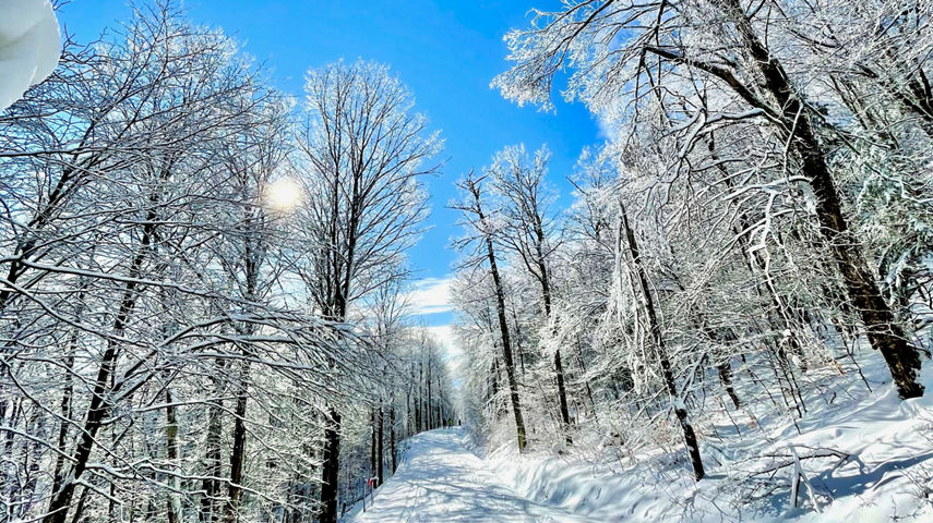 Winter day  at Okemo