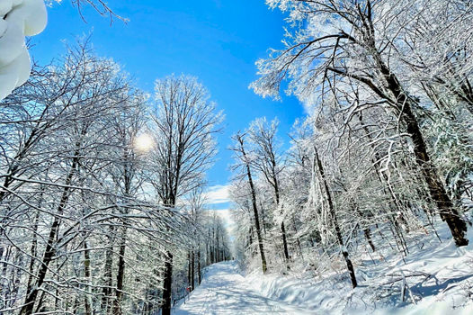 Winter day  at Okemo