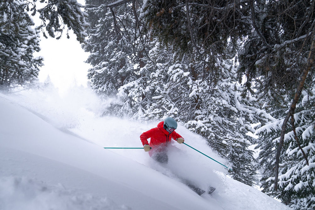 Skiing under a canopy of trees at Vail