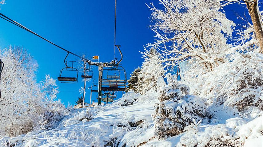 Roundtop Digital Content Value ALT 855x480