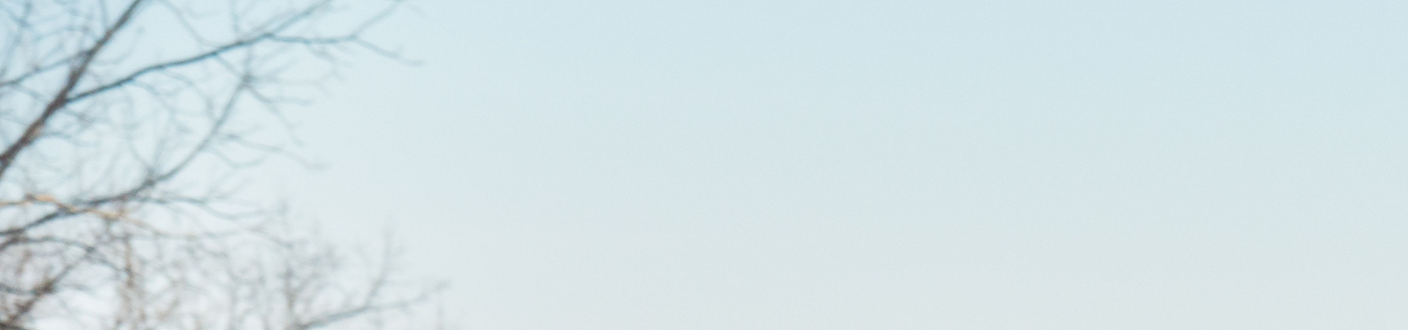 Skier Hitting M Rail in Bonk Terrain Park