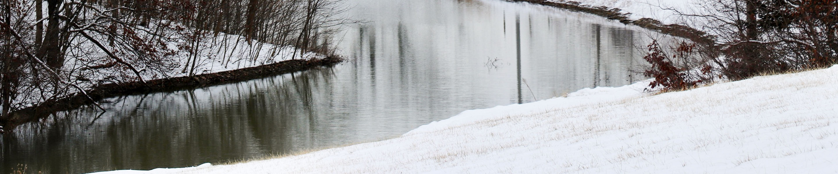Scenic view overlooking a pond at Snow Creek