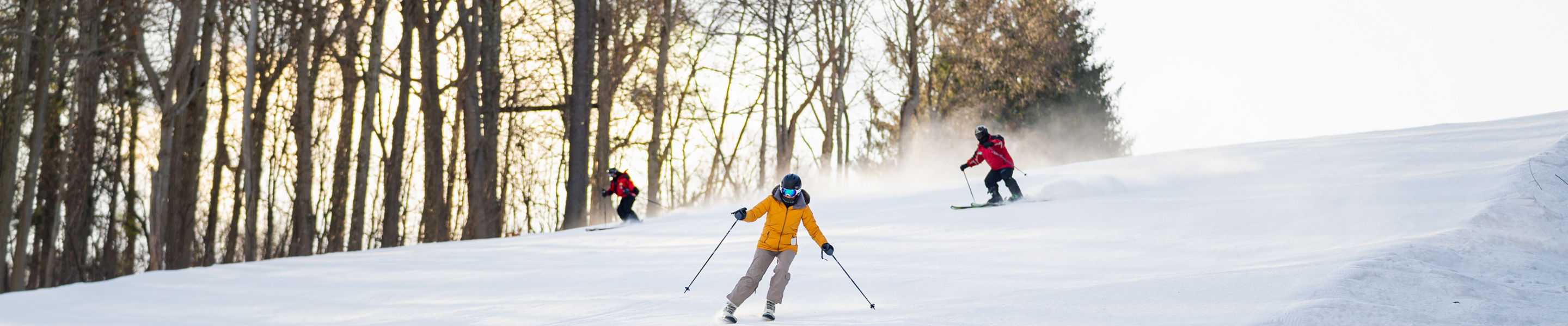 Skiing at Laurel Mountain Ski Resort