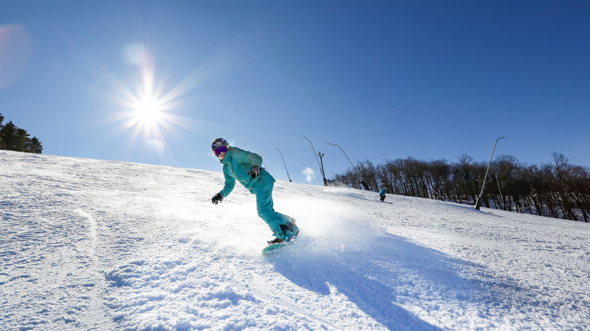 female boarding on NF