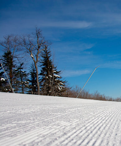 The view of a groomed trail at Okemo